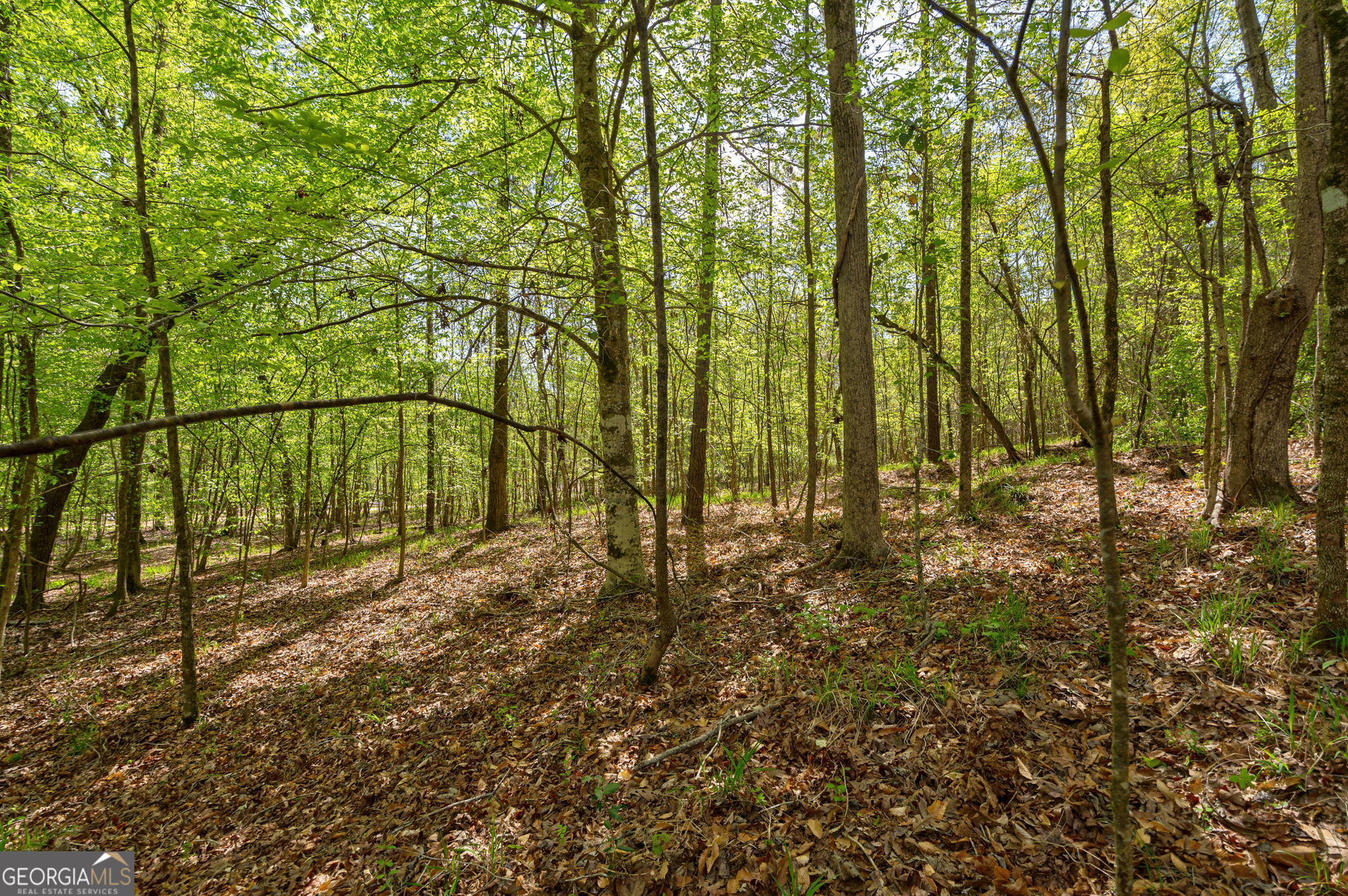 1569 Skull Shoals Road Washington, GA 30673 - Photo 14 of 19