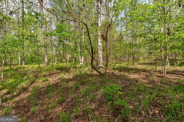 $92,000 | 1569 Skull Shoals Road, Washington, GA 30673