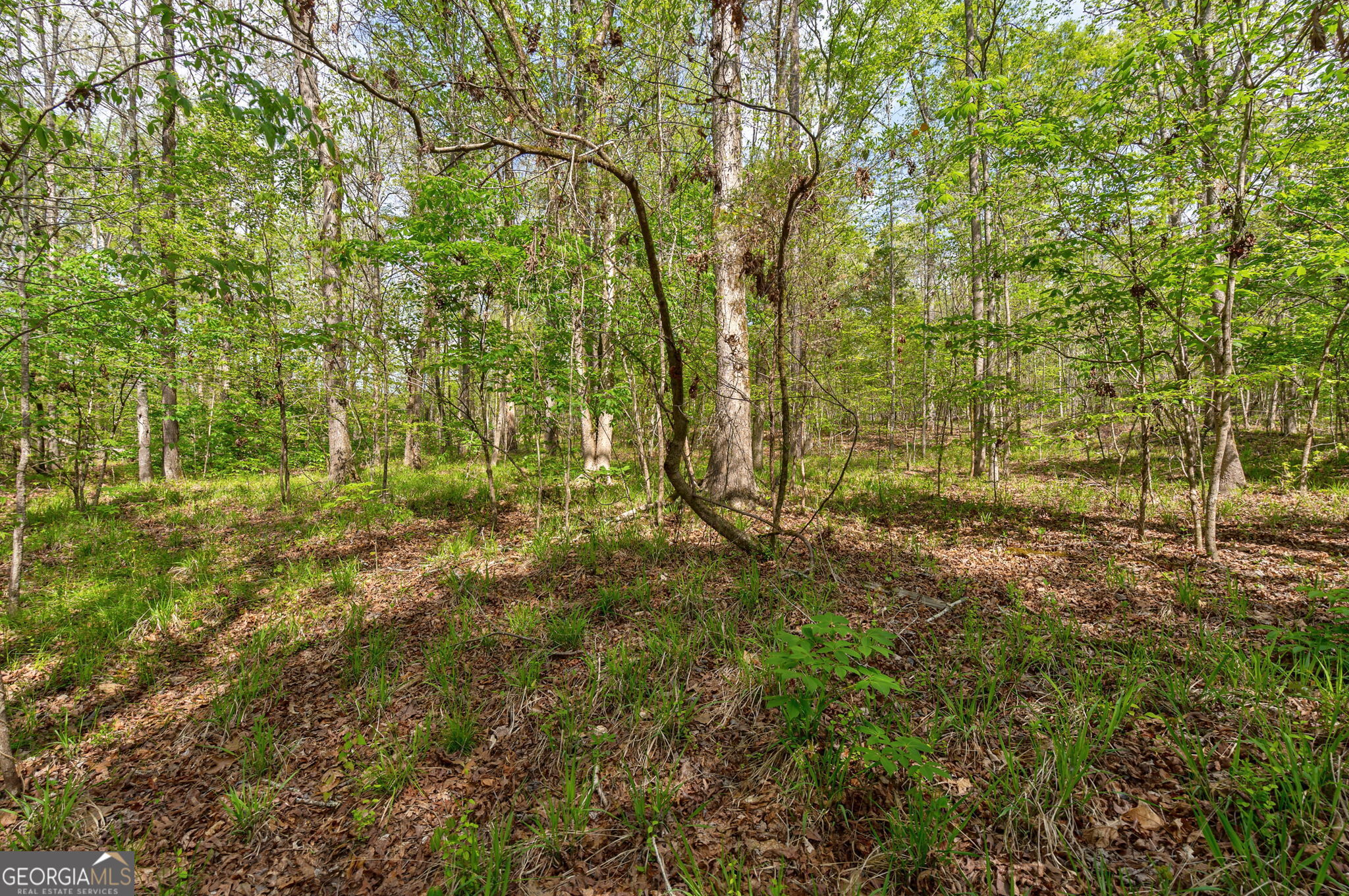 1569 Skull Shoals Road Washington, GA 30673 - Photo 15 of 19