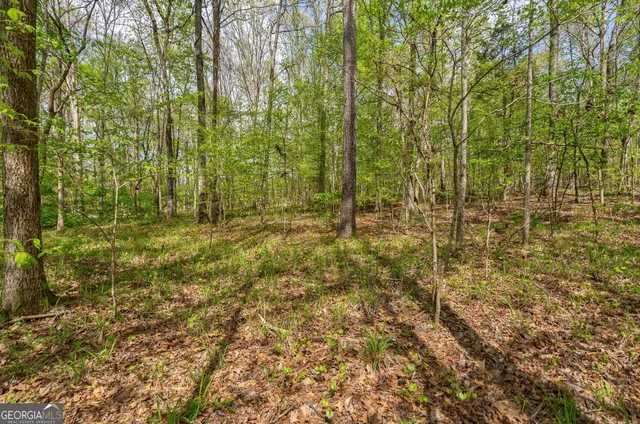 $92,000 | 1569 Skull Shoals Road, Washington, GA 30673