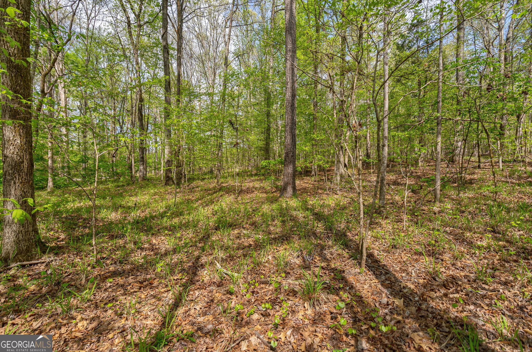 1569 Skull Shoals Road Washington, GA 30673 - Photo 16 of 19