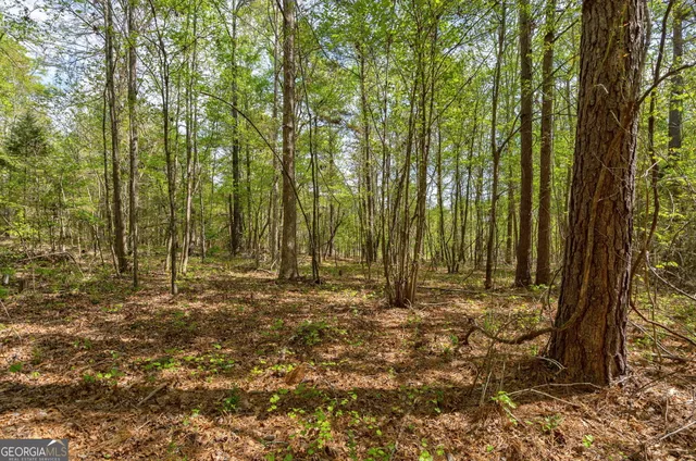 $92,000 | 1569 Skull Shoals Road, Washington, GA 30673