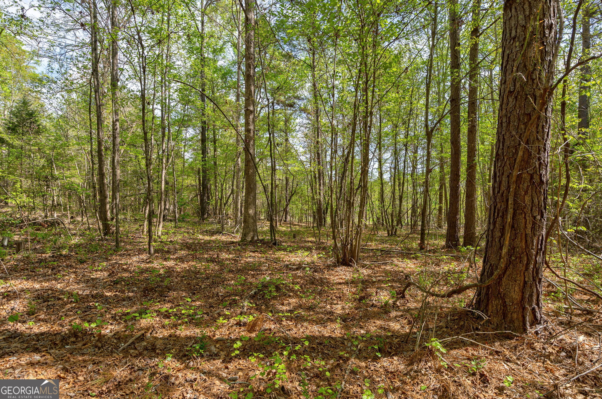 1569 Skull Shoals Road Washington, GA 30673 - Photo 17 of 19