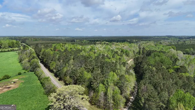 $92,000 | 1569 Skull Shoals Road, Washington, GA 30673