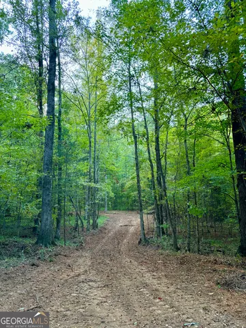 $92,000 | 1569 Skull Shoals Road, Washington, GA 30673