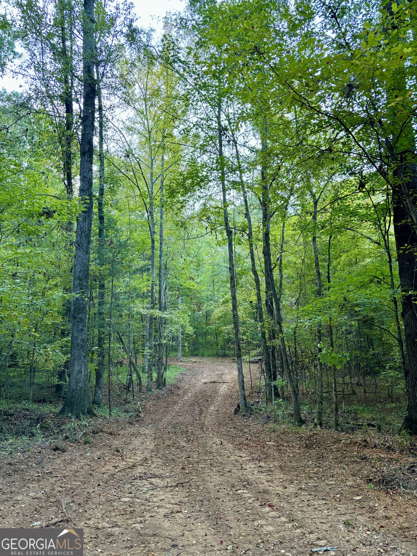 1569 Skull Shoals Road Washington, GA 30673 - Photo 2 of 19