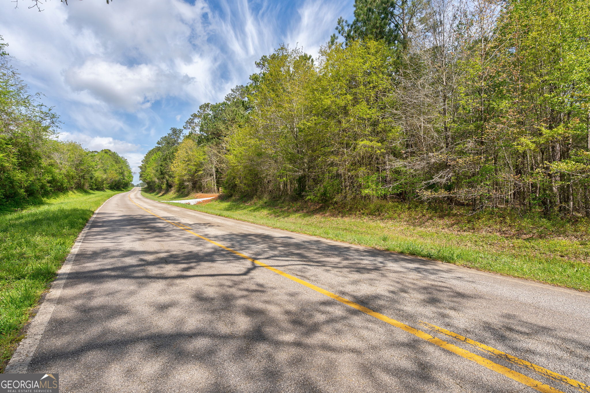 1569 Skull Shoals Road Washington, GA 30673 - Photo 5 of 19