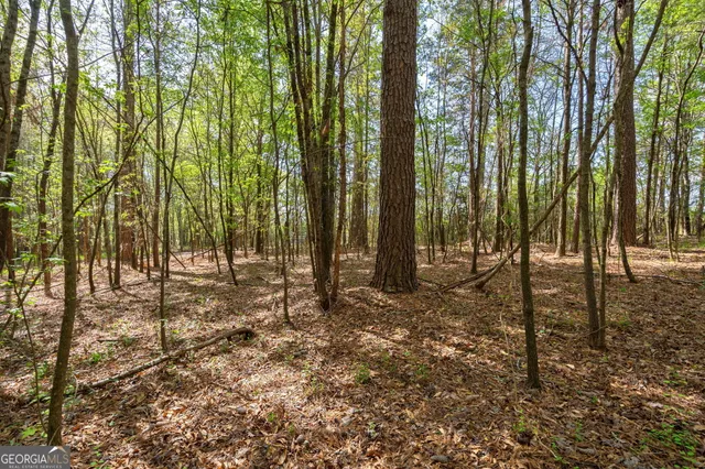 $92,000 | 1569 Skull Shoals Road, Washington, GA 30673