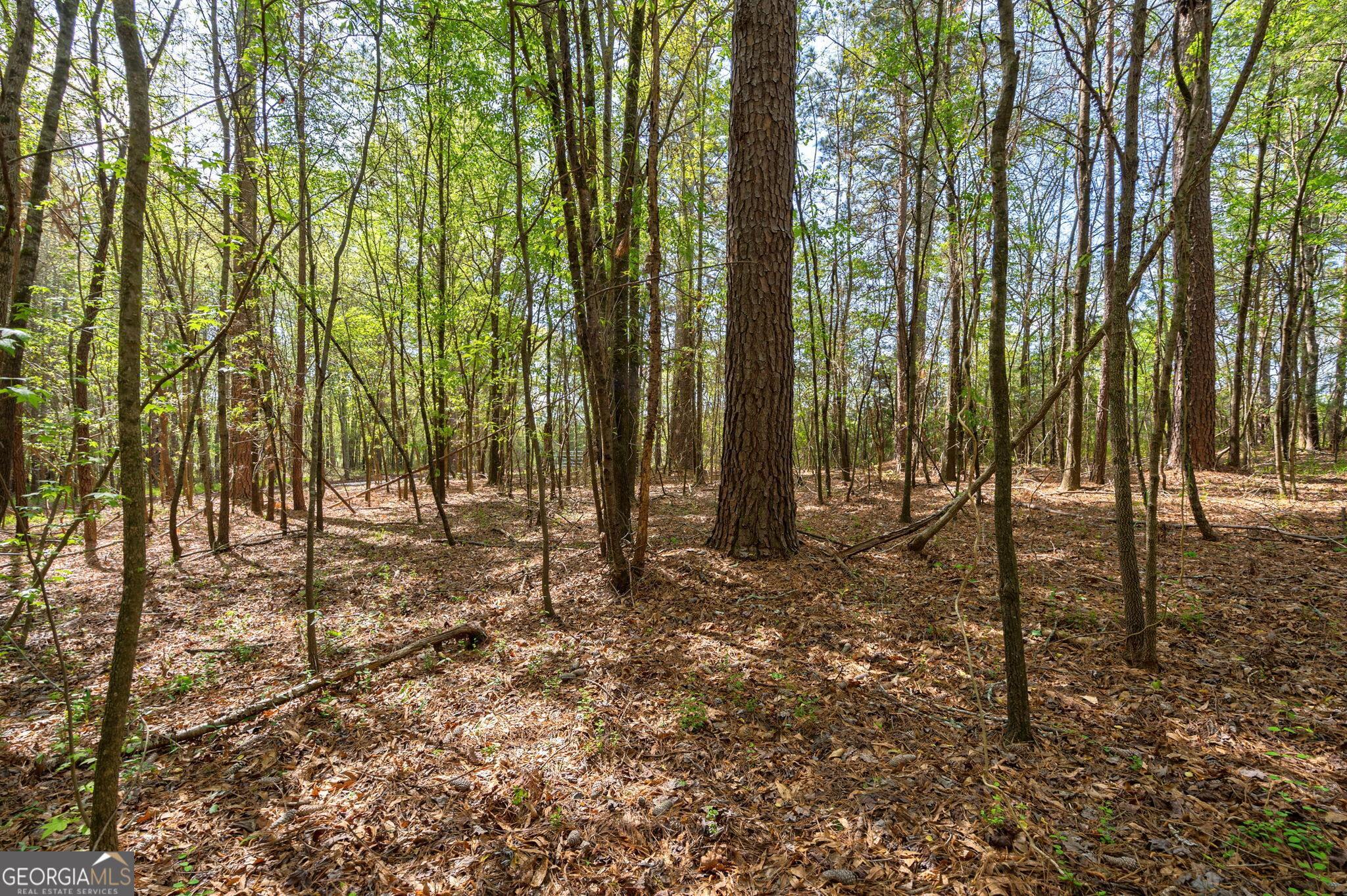 1569 Skull Shoals Road Washington, GA 30673 - Photo 8 of 19