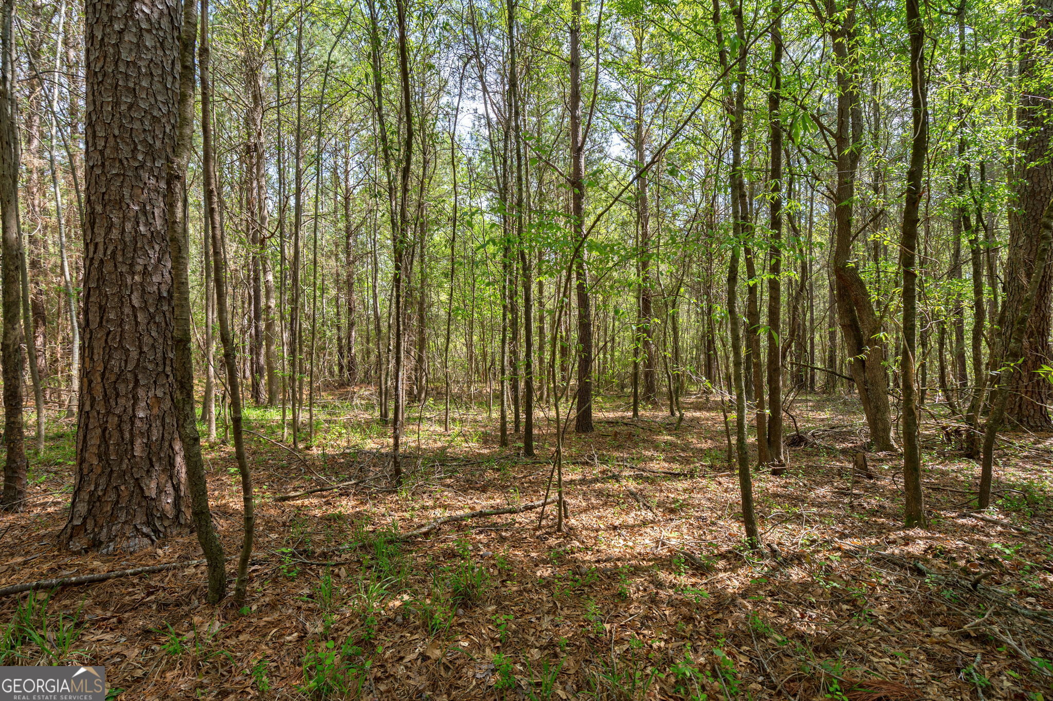 1569 Skull Shoals Road Washington, GA 30673 - Photo 9 of 19