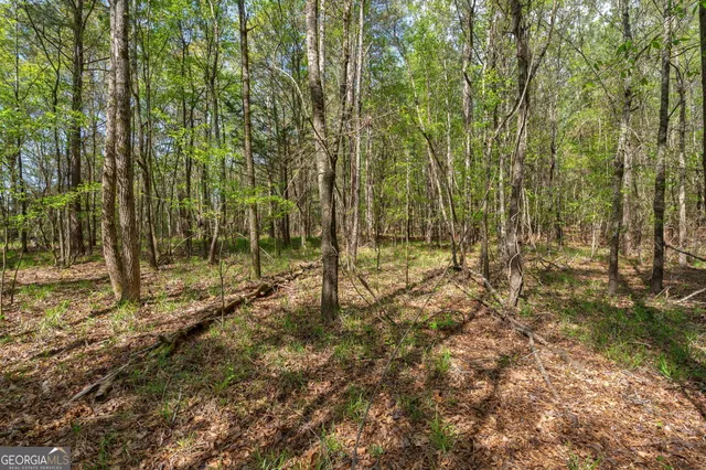 $92,000 | 1569 Skull Shoals Road, Washington, GA 30673