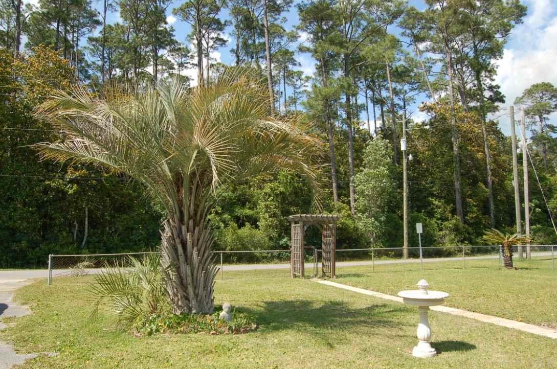 9775 North Loop Road Pensacola, FL 32507 - Photo 22 of 49 Gallery Image 22