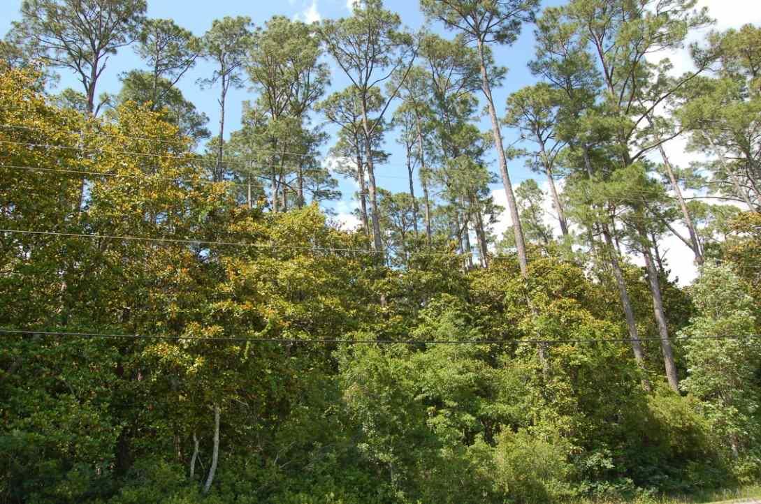 9775 North Loop Road Pensacola, FL 32507 - Photo 49 of 49 Gallery Image 49