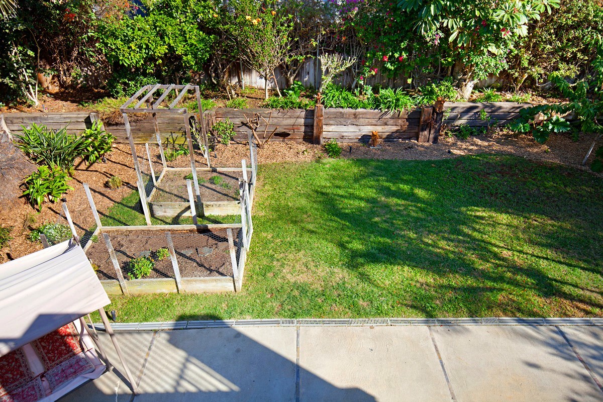 737 Nardo Road Encinitas, CA 92024 - Photo 15 of 24 Large,private yard with a variety of mature landscape, palms, and fruit trees