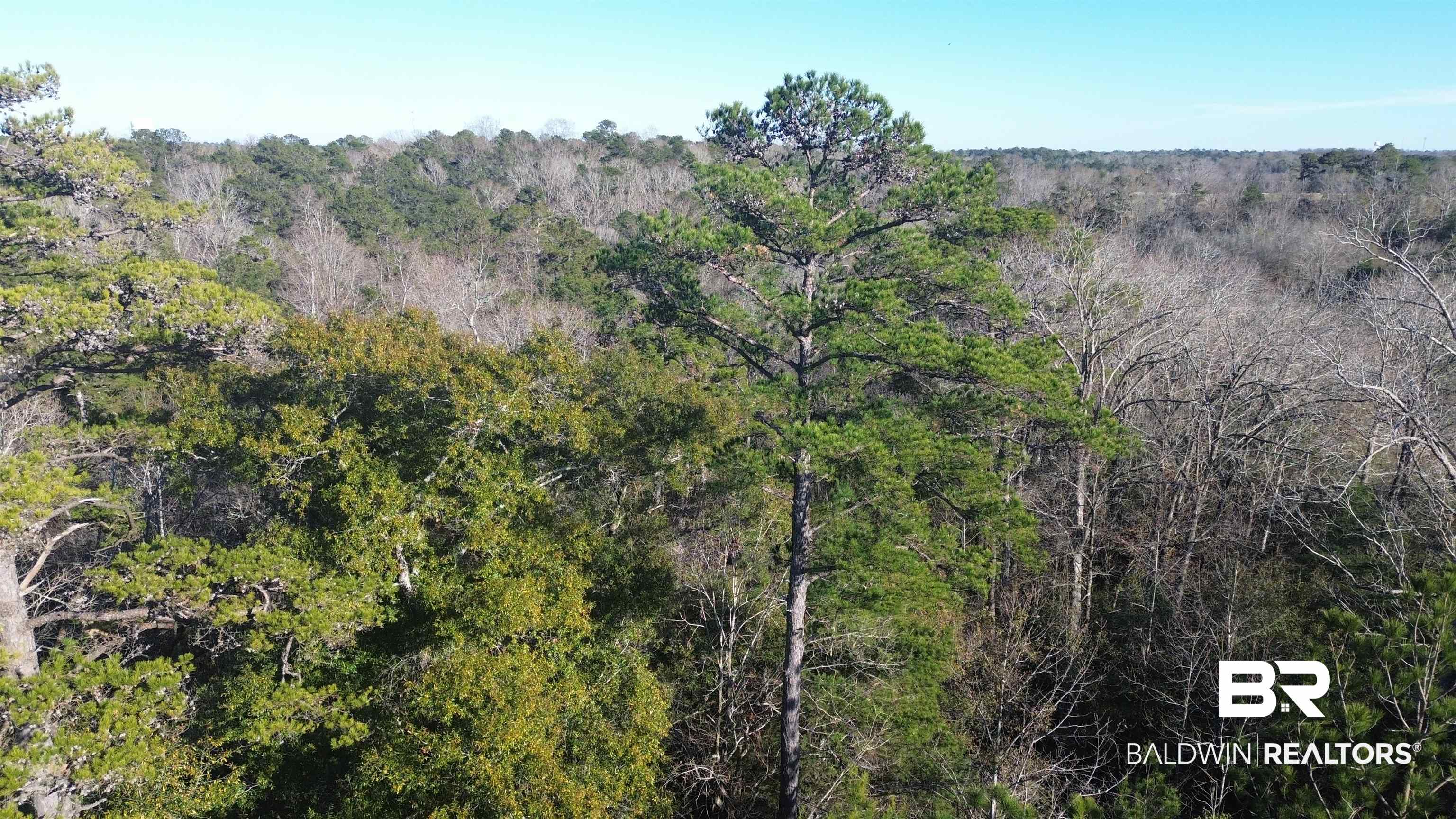756 Ted Bates Road Evergreen, AL 36401 - Photo 27 of 28 Aerial view
