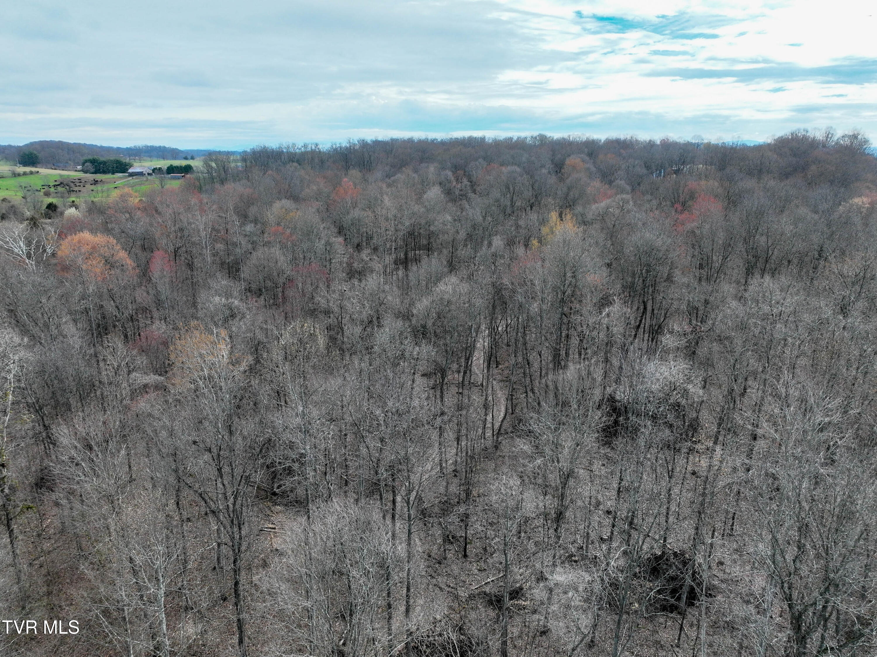 955 Old Hall Road, Unit 1 Chuckey, TN 37641 - Photo 18 of 31 955 Old Hall Rd Drone TROY-12