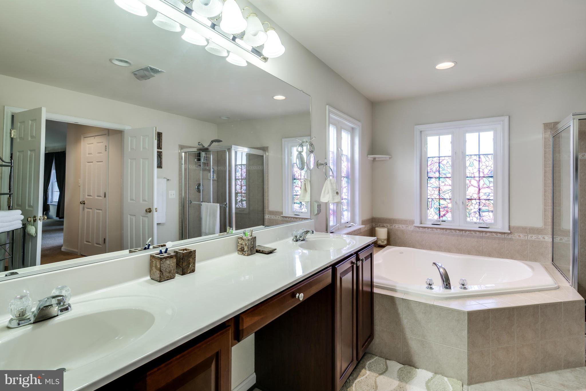 1609 Rising Ridge Road Mount Airy, MD 21771 - Photo 18 of 30 Bath (Master)