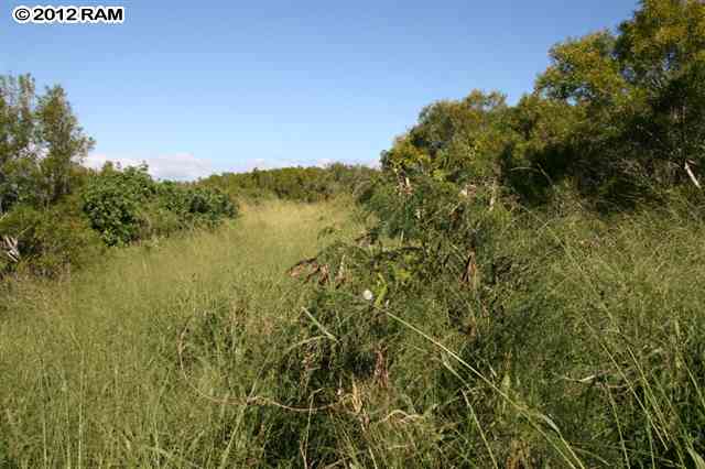 493 Hui Rd B, Unit B Lahaina, HI 96761 - Photo 12 of 24 Gallery Image 12