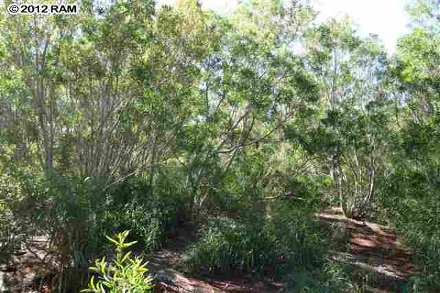 493 Hui Rd B, Unit B Lahaina, HI 96761 - Photo 21 of 24 Gallery Image 21