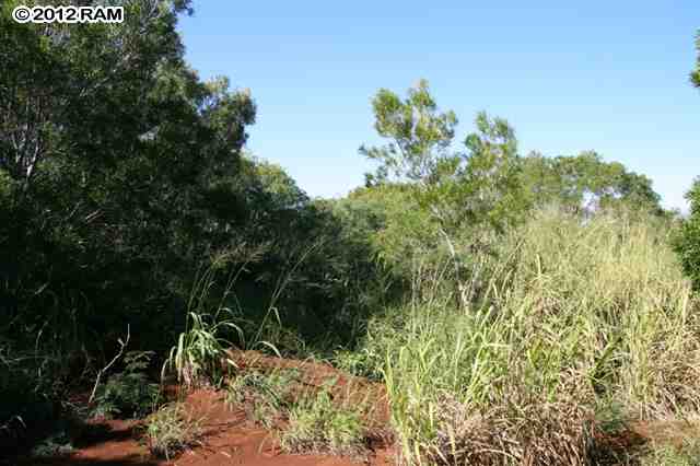 493 Hui Rd B, Unit B Lahaina, HI 96761 - Photo 22 of 24 Gallery Image 22