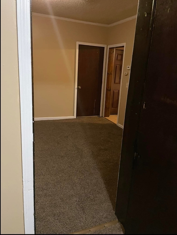 52 Orlando Street Springfield, MA 01108 - Photo 25 of 36