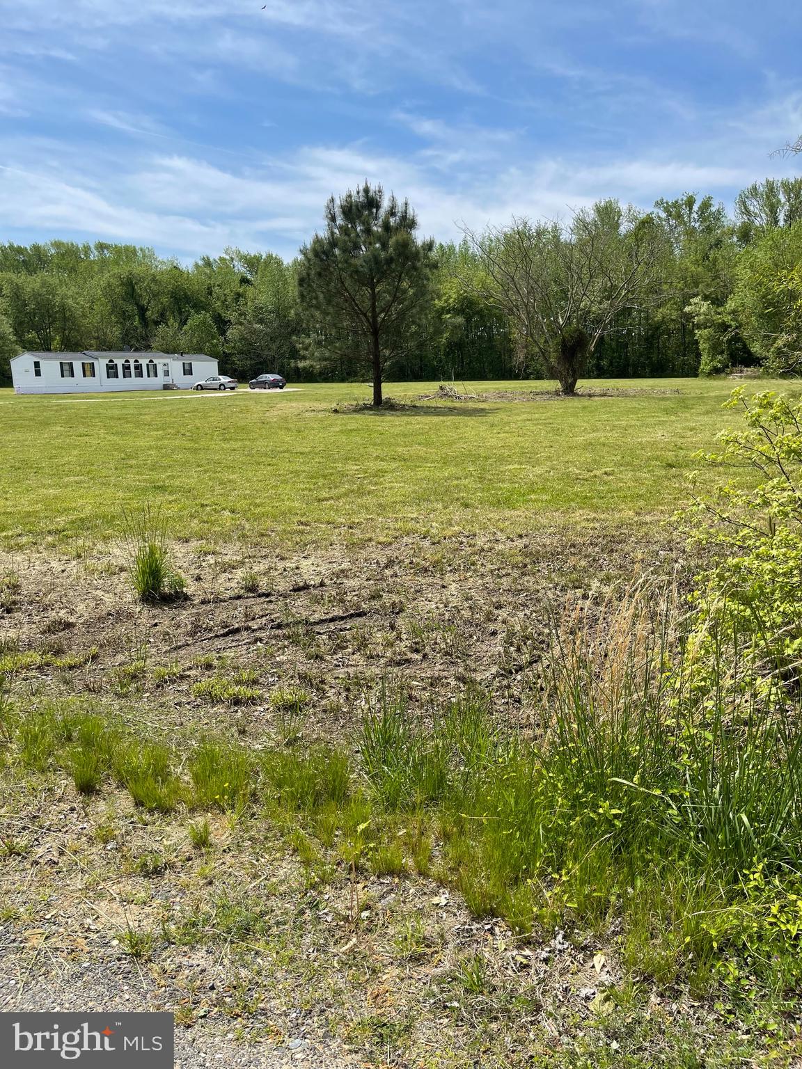 28475 Kinder Road Federalsburg, MD 21632 - Photo 14 of 14 Gallery Image 14