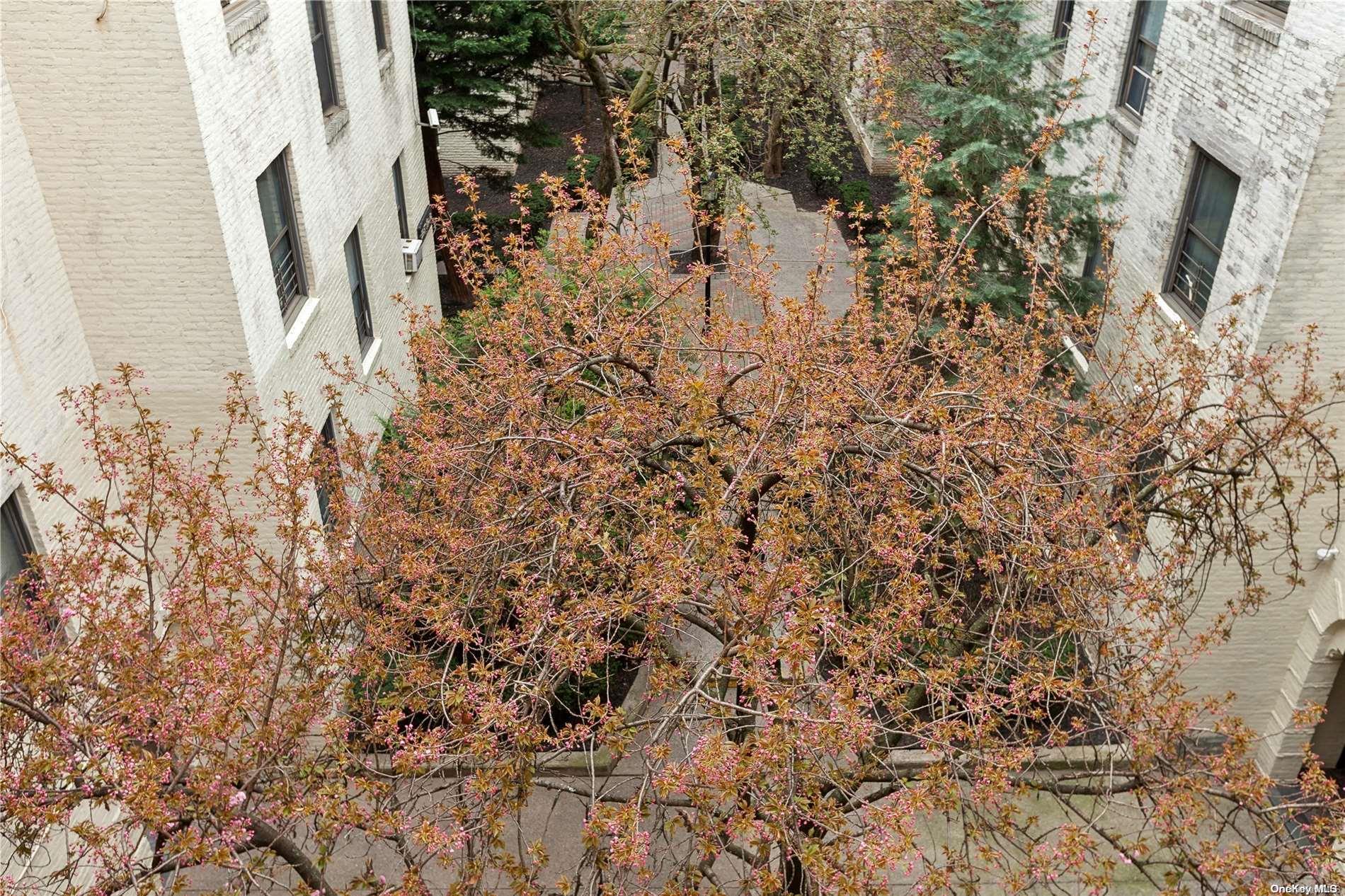 21-57 33rd Street, Unit 4D Queens, NY 11105 - Photo 11 of 11 View from unit