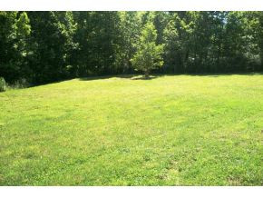 10237 Green Hollow Road, Unit 1 Wise, VA 24293 - Photo 3 of 18 Front Lawn