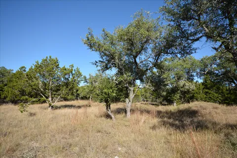 a view of a lake with a tree