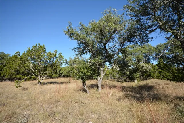 a view of a lake with a tree
