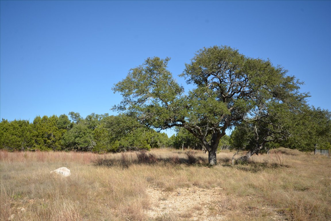 121 South Jesse Stiff Blanco, TX 78606 - Photo 17 of 17 a view of a lake with a tree in the background
