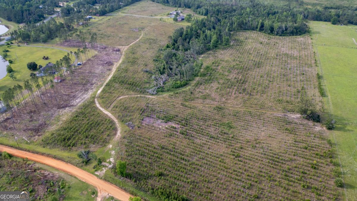 0 Smyrna Road Uvalda, GA 30473 - Photo 2 of 4 a view of a yard with plants