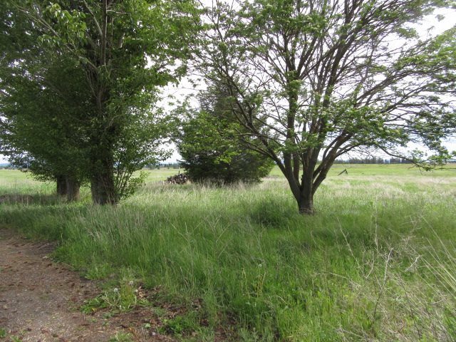 15316 West Craig Road Spokane, WA 99224 - Photo 3 of 11