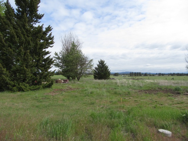 15316 West Craig Road Spokane, WA 99224 - Photo 4 of 11