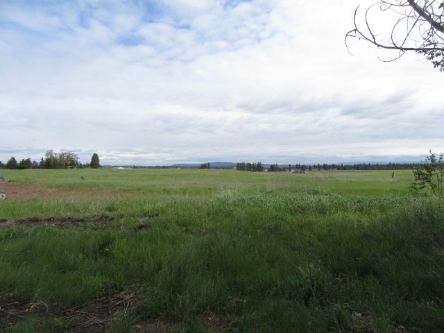 15316 West Craig Road Spokane, WA 99224 - Photo 8 of 11