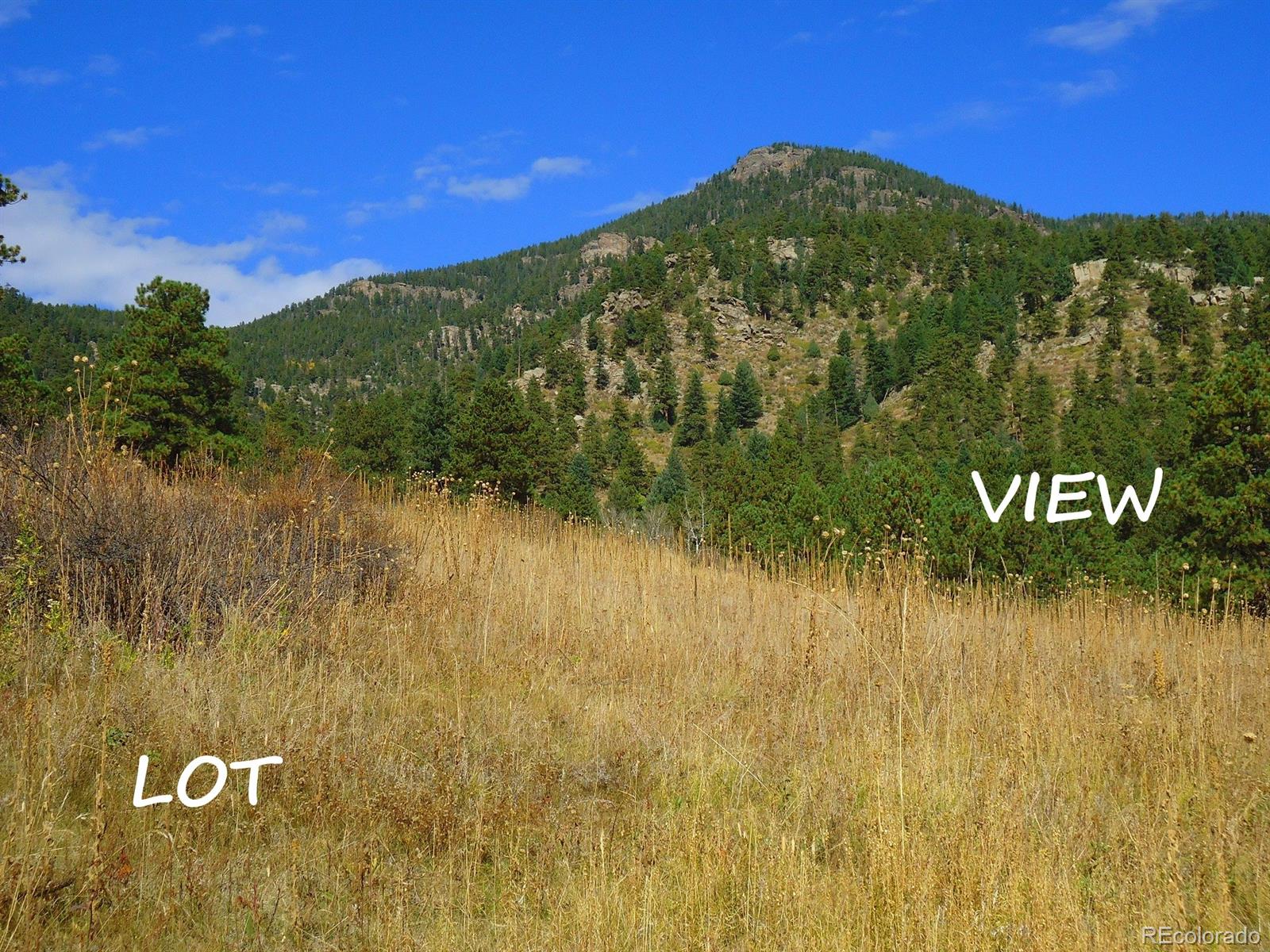 A Ridge Road Evergreen, CO 80439 - Photo 7 of 8 Gallery Image 7