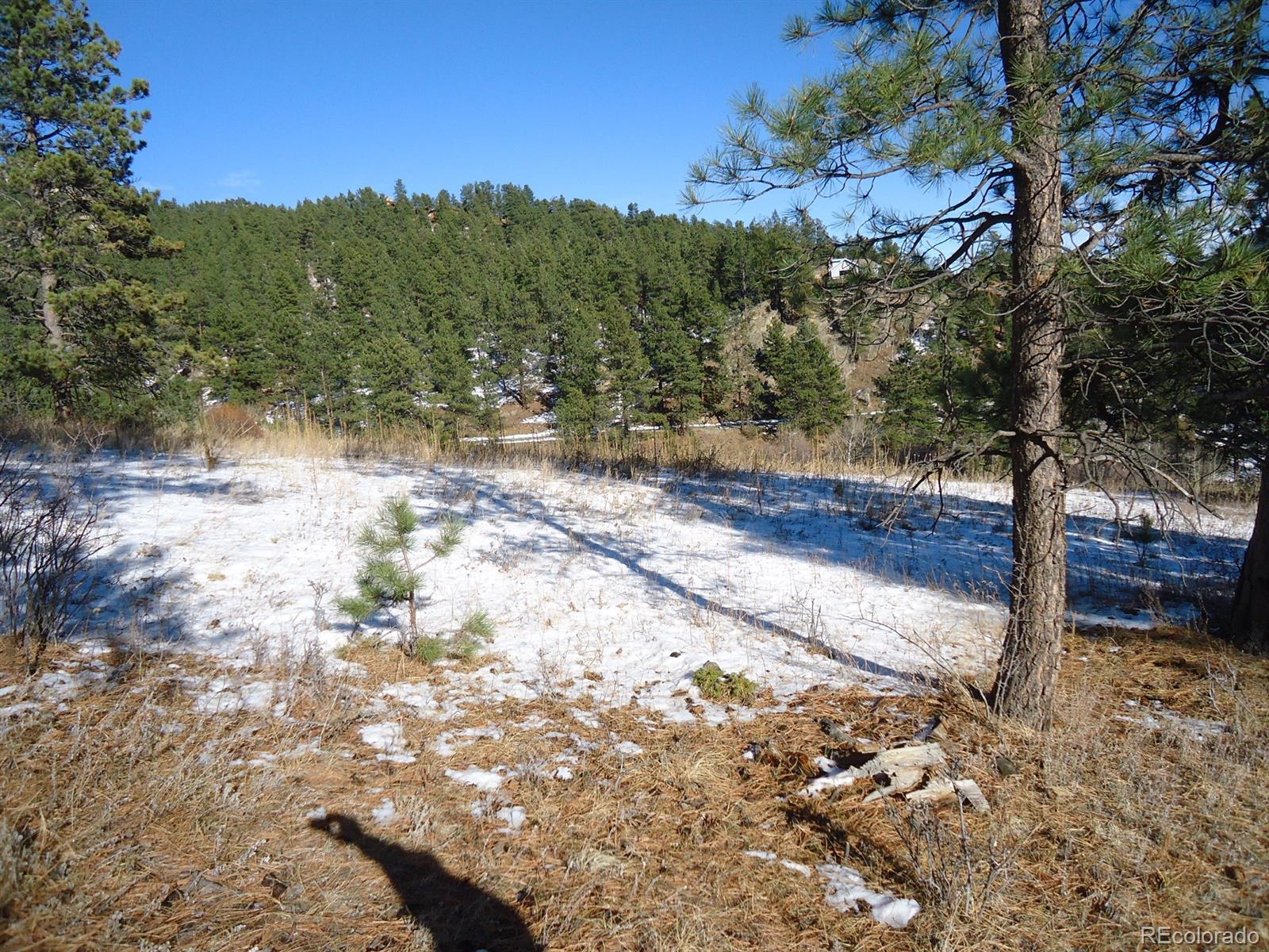 A Ridge Road Evergreen, CO 80439 - Photo 8 of 8 Gallery Image 8