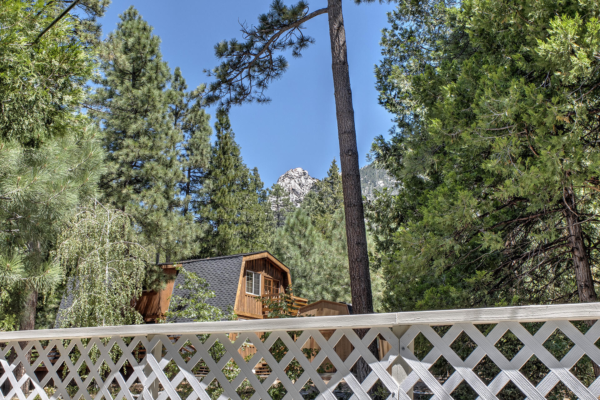 55075 Daryll Road Idyllwild, CA 92549 - Photo 43 of 60 6R5A4479