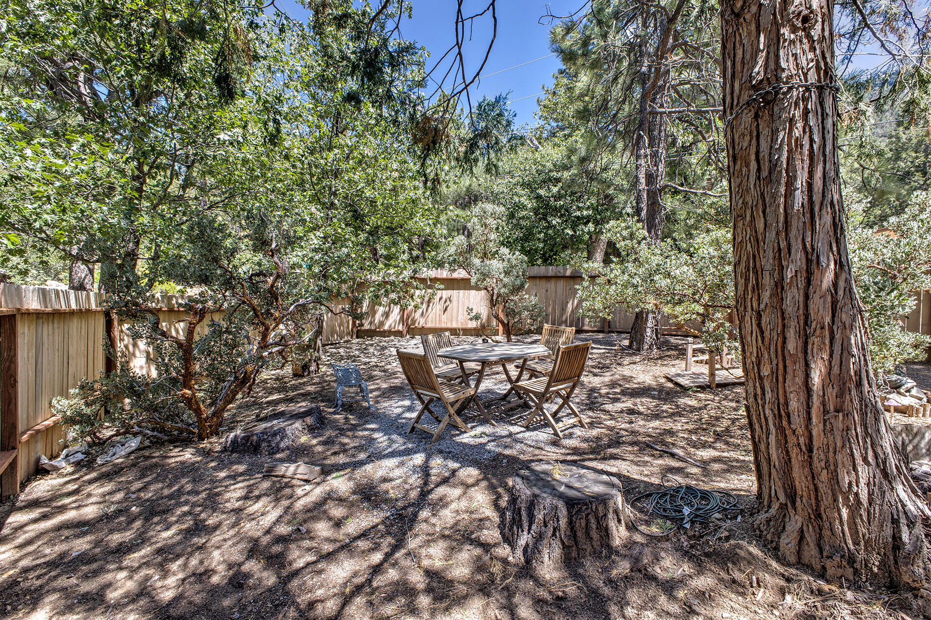 55075 Daryll Road Idyllwild, CA 92549 - Photo 50 of 60 6R5A4534