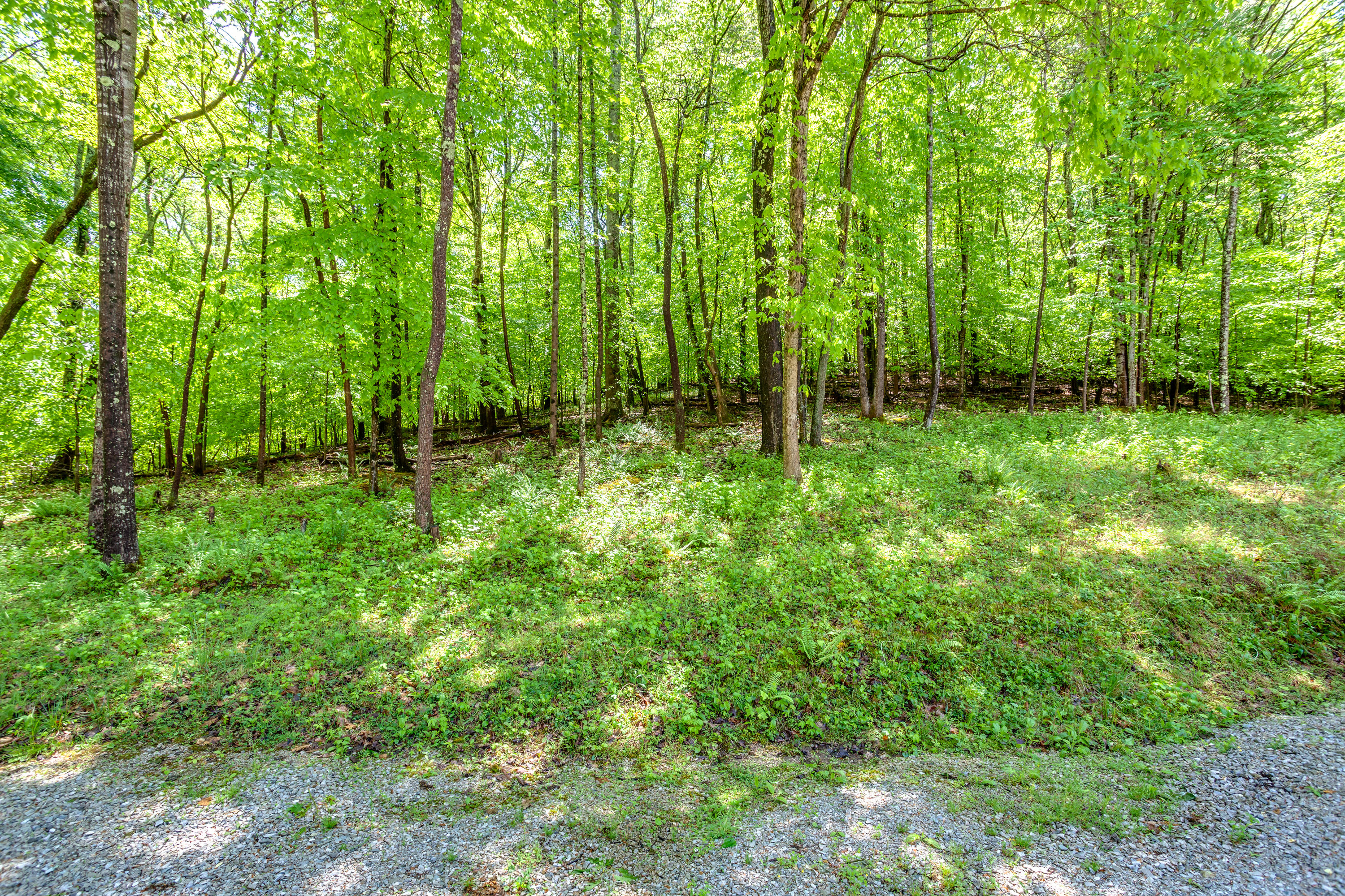 888 Bazel Road Harriman, TN 37748 - Photo 22 of 22 023210503-3-888BazelRdHarrimanTN-SMALL