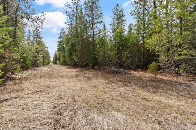 $110,000 | 3825 Meadowlark Lane, Loon Lake, WA 99148