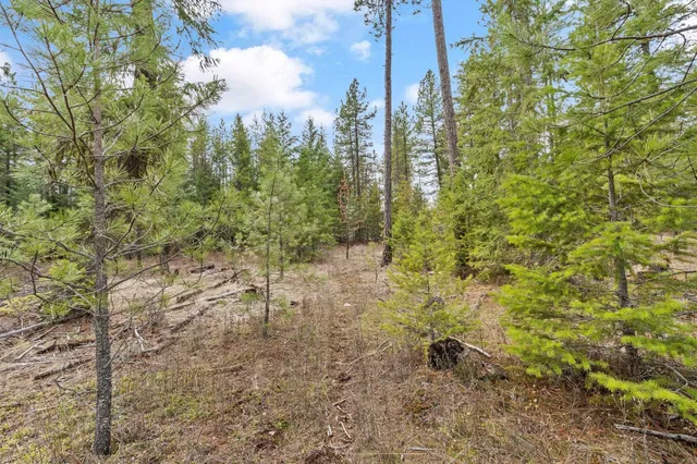 $110,000 | 3825 Meadowlark Lane, Loon Lake, WA 99148