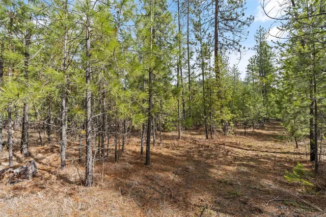 $110,000 | 3825 Meadowlark Lane, Loon Lake, WA 99148