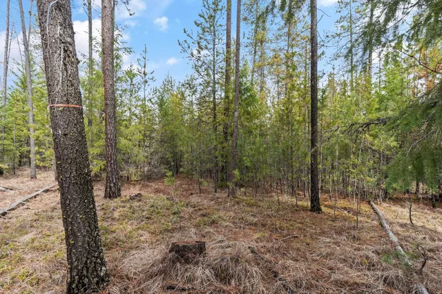 $110,000 | 3825 Meadowlark Lane, Loon Lake, WA 99148