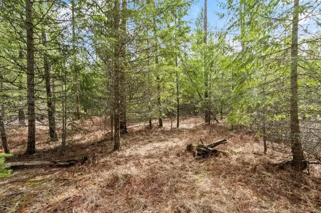 $110,000 | 3825 Meadowlark Lane, Loon Lake, WA 99148