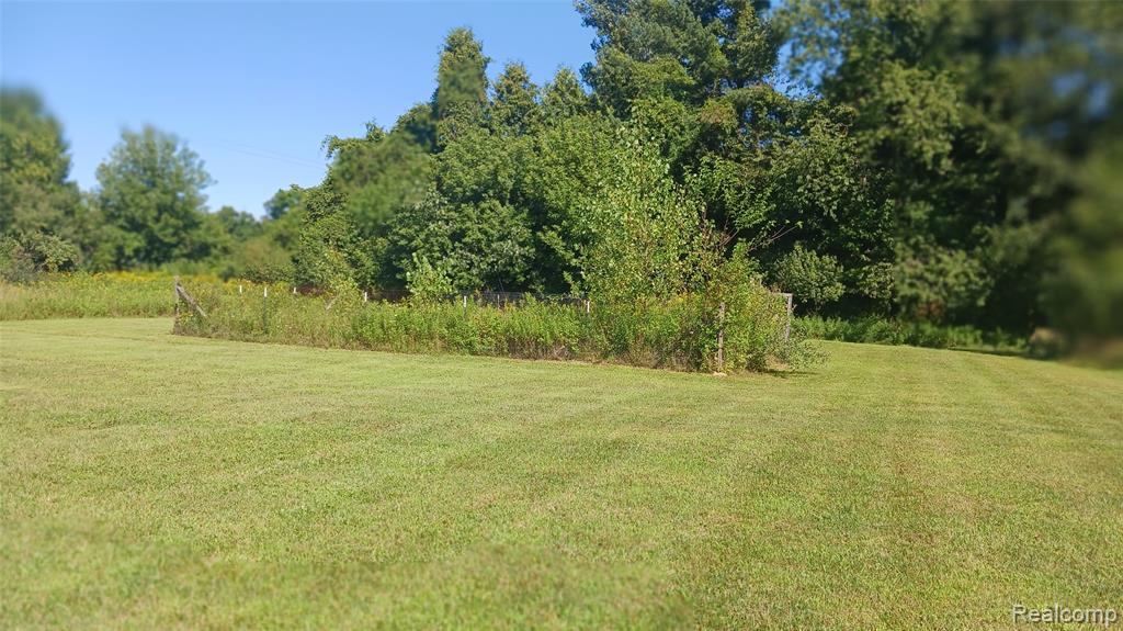 3803 Warner Road Cass City, MI 48726 - Photo 12 of 85