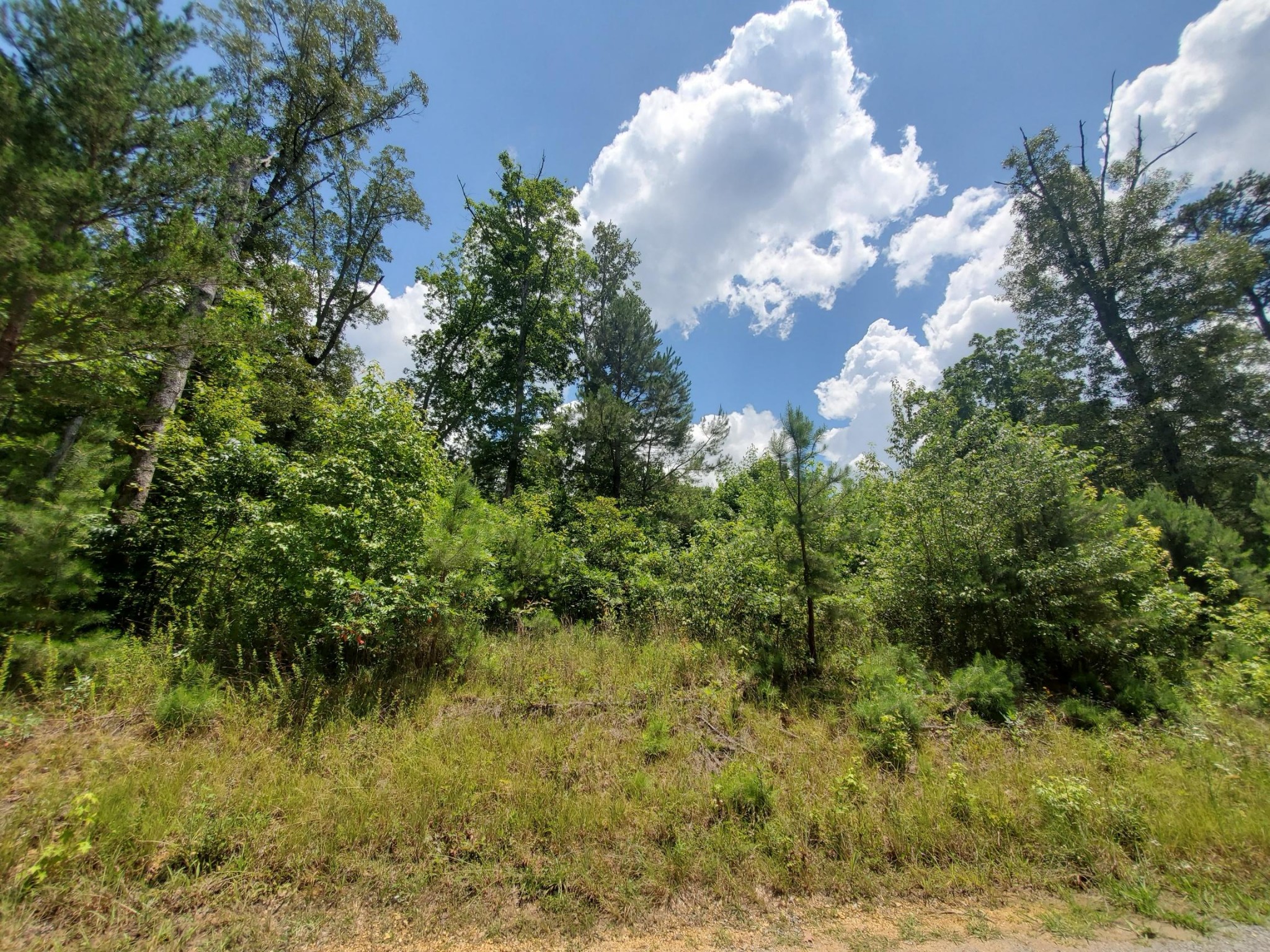 0 Farmington Ridge Drive Dunlap, TN 37327 - Photo 1 of 5 Gallery Image 1