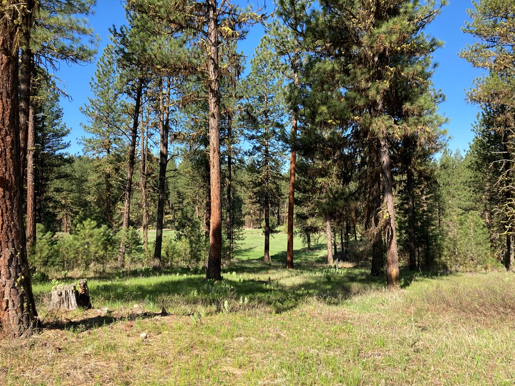 Lot 7 Timber Ridge Drive, Unit 7 New Meadows, ID 83654 - Photo 26 of 29 Gallery Image 26