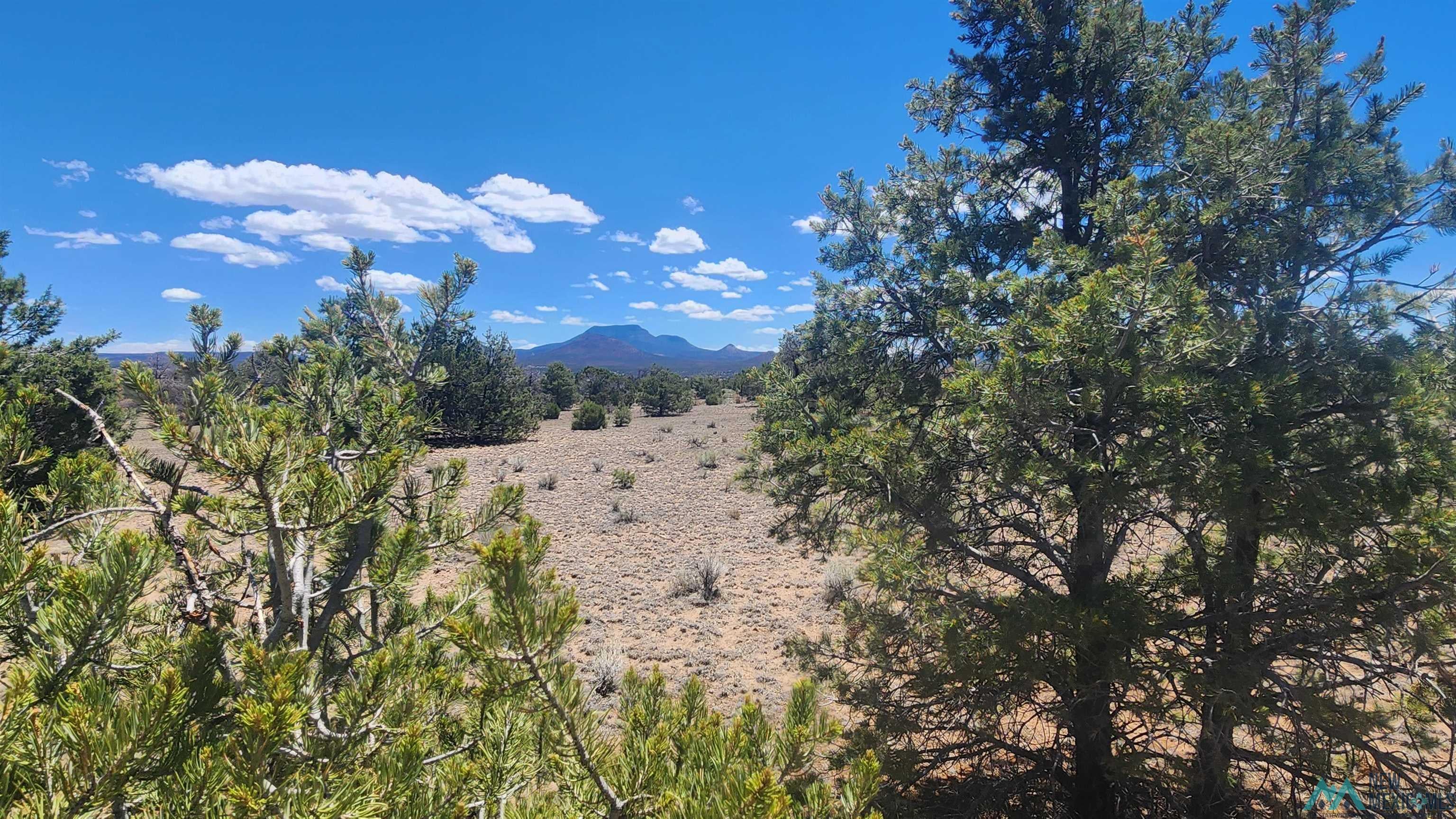 Tbd Mangas Road Quemado, NM 87829 - Photo 12 of 15