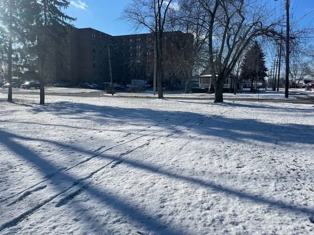 a view of road and trees